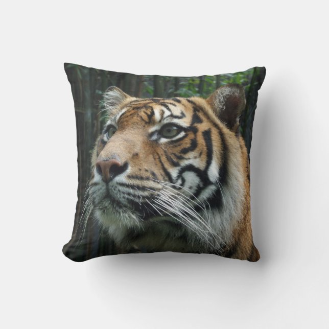 Coussin de tigre de Sumatran (Recto)