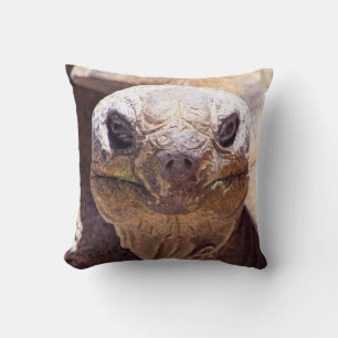 Coussin de tortue cool !