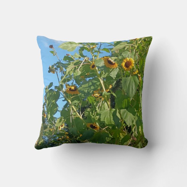 Coussin de tournesol (Verso)