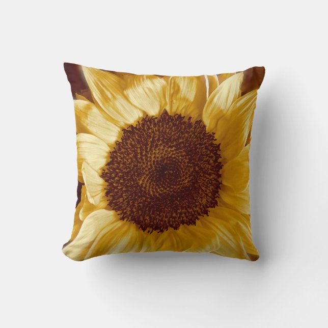 Coussin de tournesol (Recto)