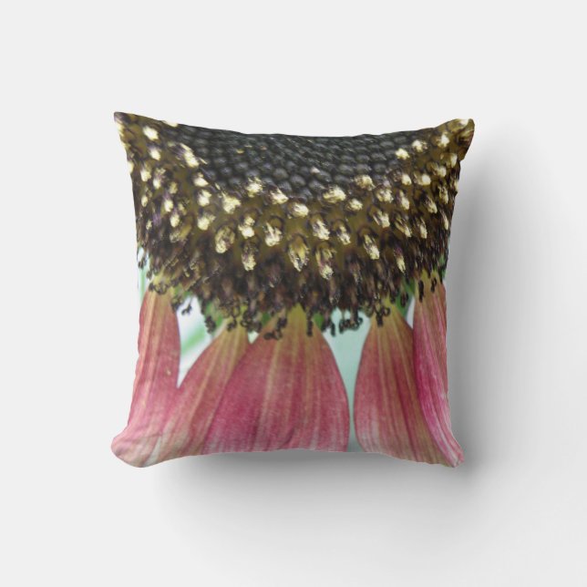 Coussin de tournesol rose (Recto)