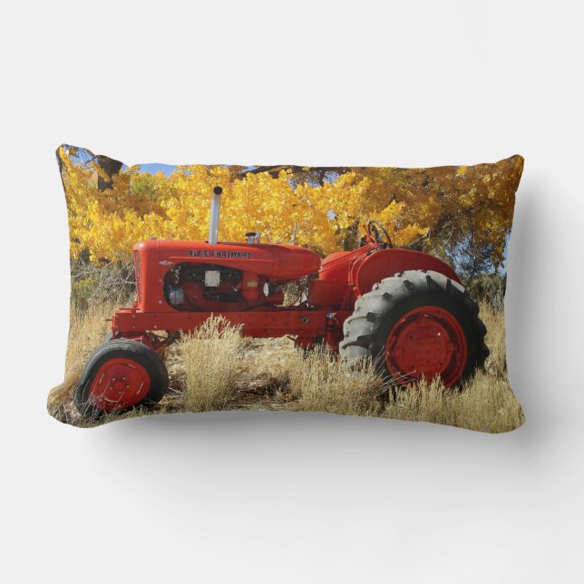 Coussin de traçabilité Lumbar du WD45 1955 (Recto)