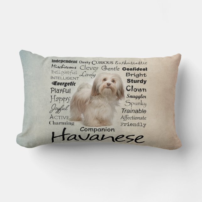 Coussin de traits de Havanese (Recto)