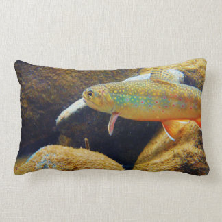 Coussin de truite de Brook