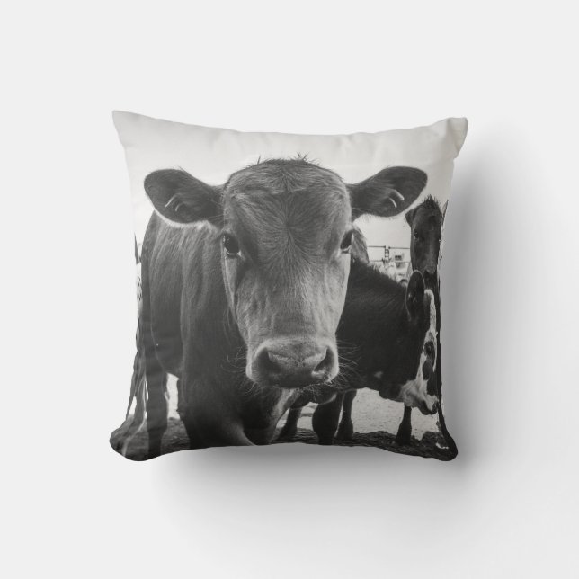Coussin de veau noir et blanc (Recto)