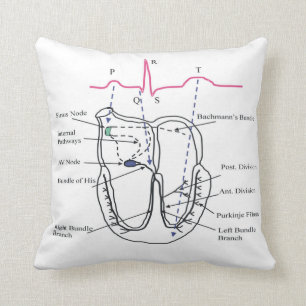 Coussin d'Ecg
