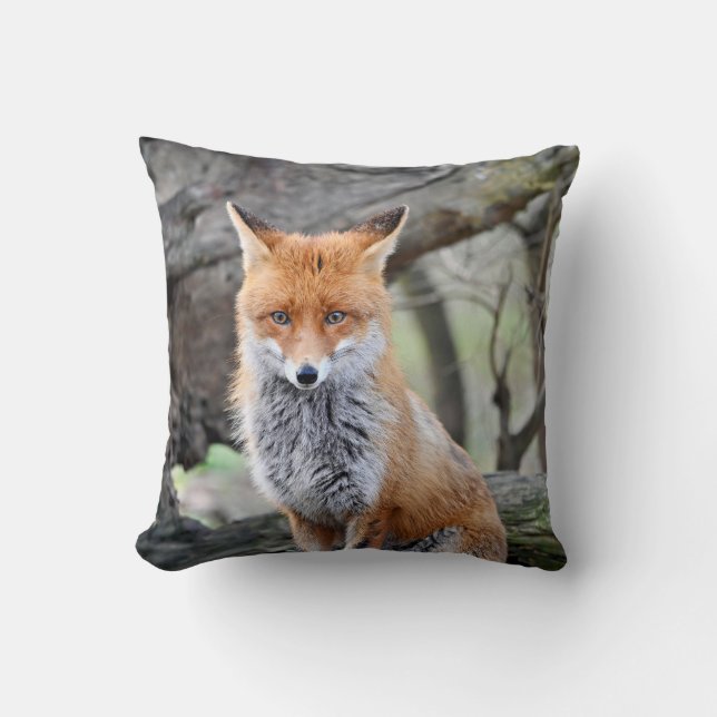 Coussin Décoquis (Recto)