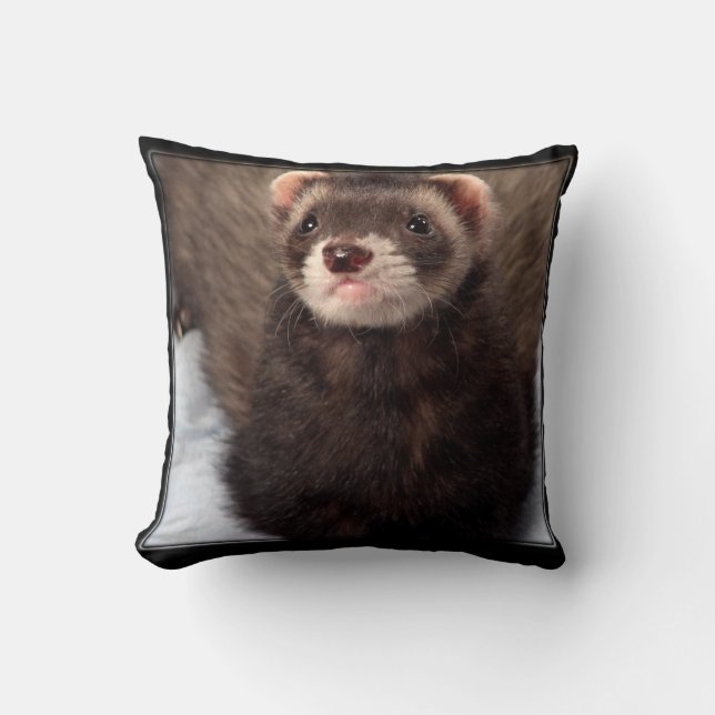 Coussin Décor de maison de carreau de furet (Recto)