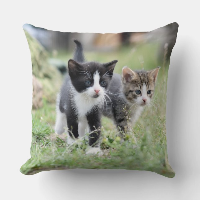 Coussin décoratif à jeter avec de mignons chatons  (Recto)
