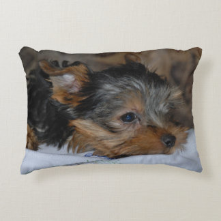 coussin décoratif avec un petit chien