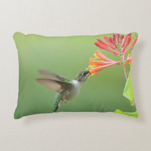 Coussin décoratif Colibri et Chèvrefeuille Corail