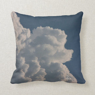 Coussin décoratif de caniche de nuage