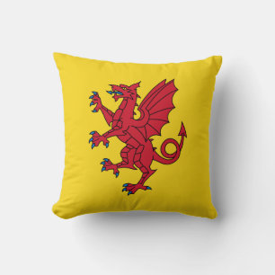 Coussin décoratif drapeau du Somerset