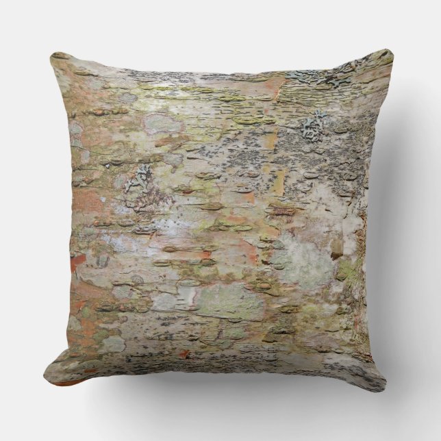 Coussin d'écorce d'arbre d'Adirondack (Recto)