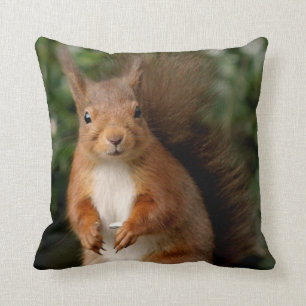 Coussin d'écureuil/Cushion
