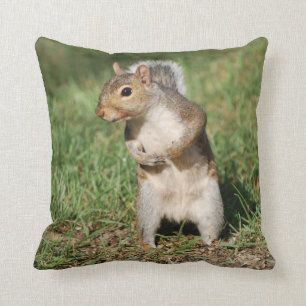 Coussin d'écureuil de gris oriental