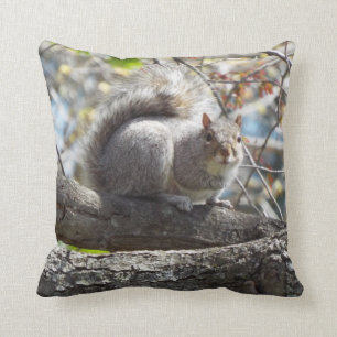 coussin d'écureuils