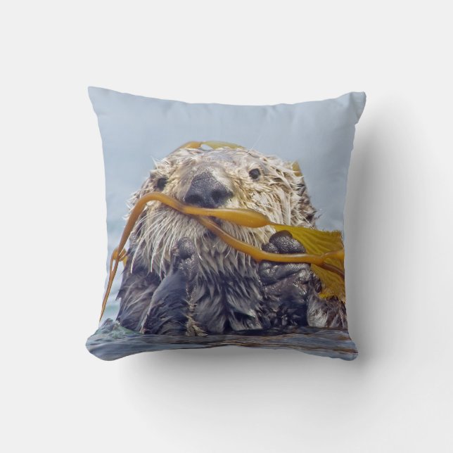 Coussin dégrossi de la loutre de mer de la (Recto)