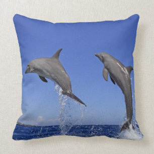 Coussin Delfin, Delphin, Tuemmler plus brut, Tursiops 3