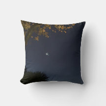 Demi-Lune