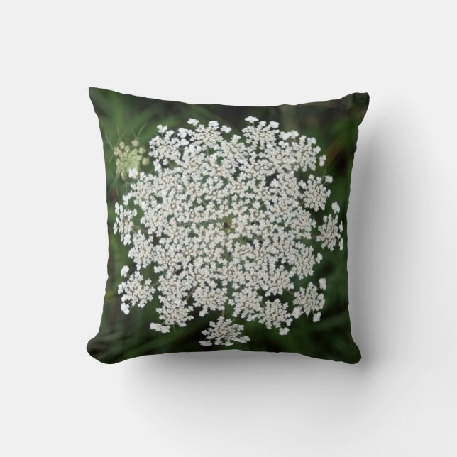 Coussin Dentelle de la Reine Anne (Recto)