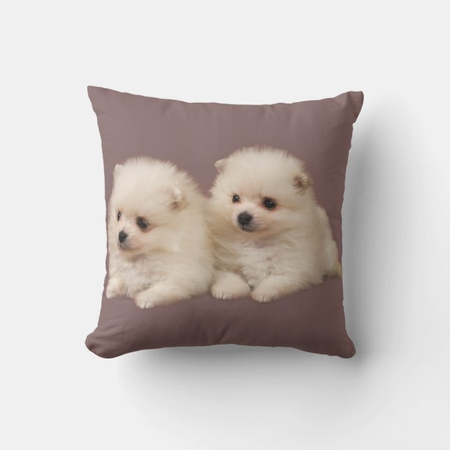 Coussin des chiots de Poméranie blanche et bouffée (Recto)
