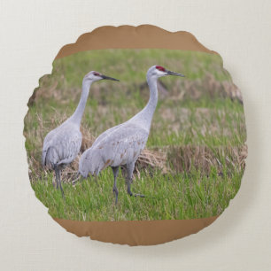 Coussin des grues de Sand Hill