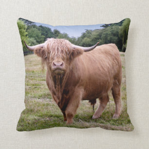 Coussin des montagnes de vache