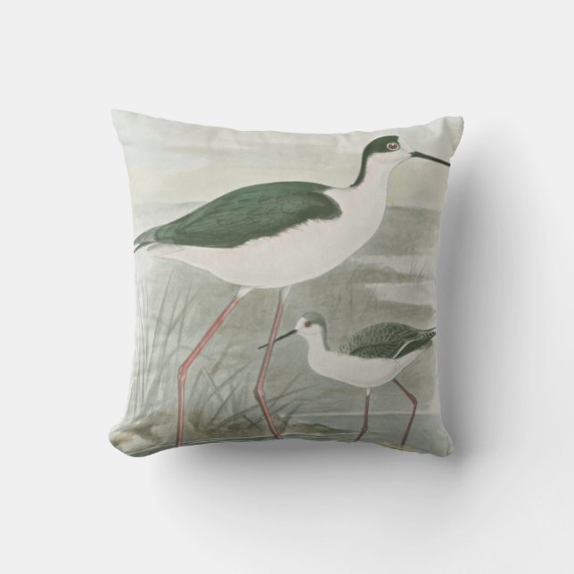 Coussin Des tiltes noires au bord de l'eau (Recto)