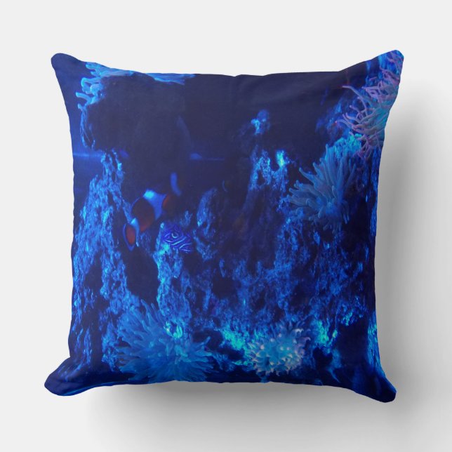 coussin d'espèce marine (Recto)