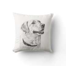 Dessin de labrador retriever