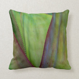 Coussin Détail du Plante Agave