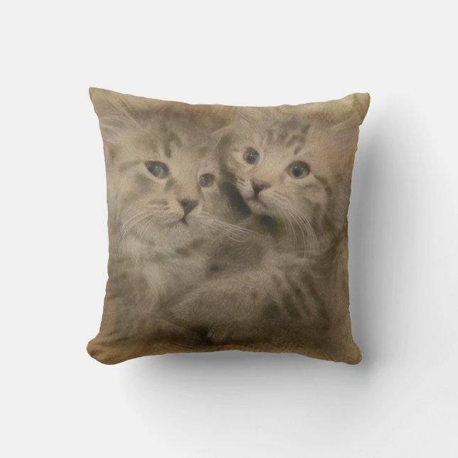Coussin Deux Chatons Gris Cute En Aquarelle (Recto)