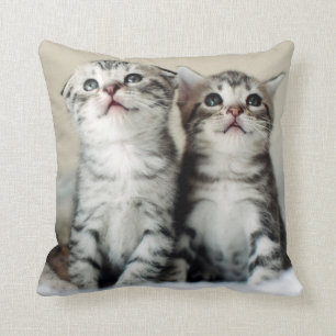 Coussin Deux chatons mignons
