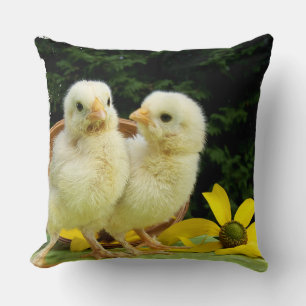 Coussin deux mignonnes petites poussins