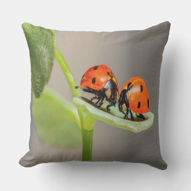 Coussin D'extérieur Baiser Ladybugs (Recto)
