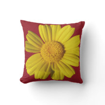 Camomille jaune ensoleillée