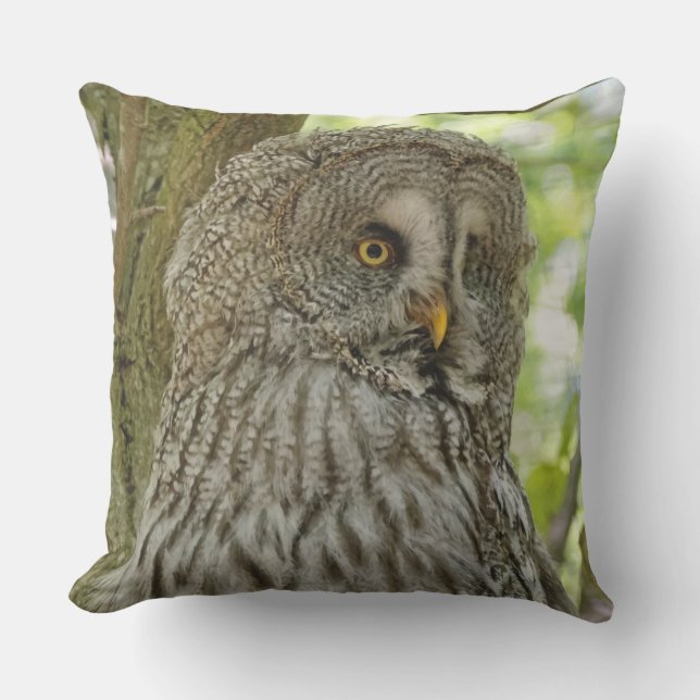 Coussin D'extérieur Carreau magnifique d'impression de hibou de grand (Recto)