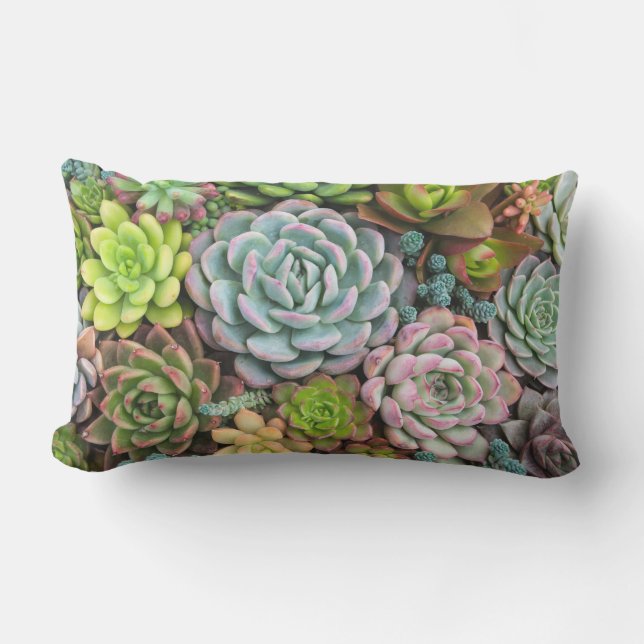 Coussin D'extérieur Carreaux de Succulents de cactus (Recto)