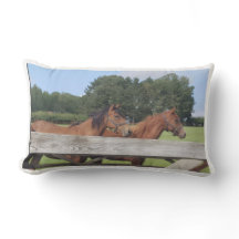 Chevaux dans la nature