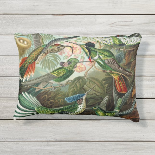 Coussin D'extérieur Copie d'antiquité de colibri (Dos)