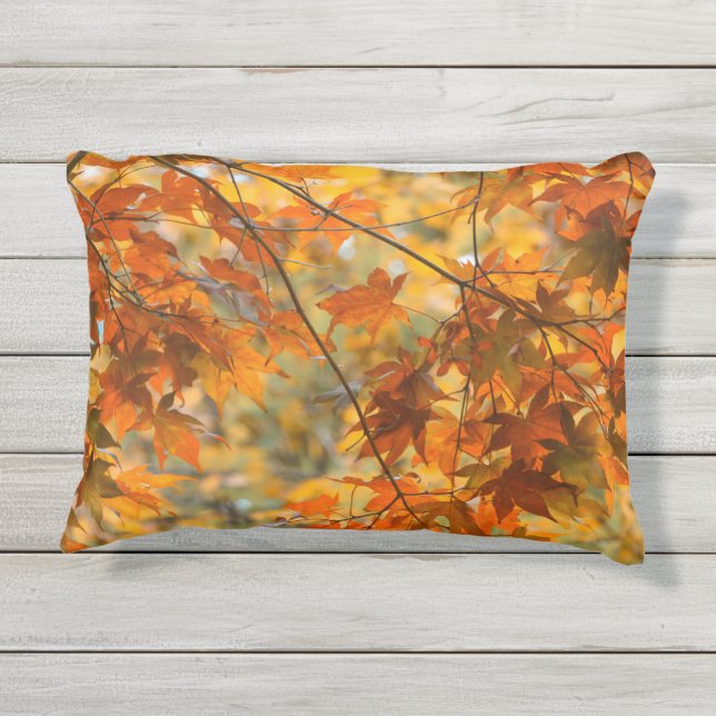 Coussin D'extérieur Couleur de citrouille de feuille d'automne (Dos)