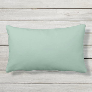 Coussin D'extérieur Couleur d'échelle Aqua Correspondante