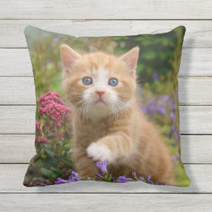 Coussin D'extérieur Cute Ginger Chat Kitten dans le jardin Photo -