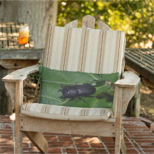 Coussin D'extérieur Dorcus parallelipipedus, le moindre dendroctone du