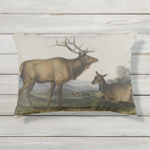 Coussin D'extérieur Élans américains par John James Audubon