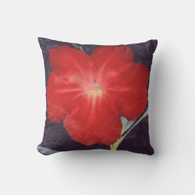Coussin D'extérieur Face rouge rustique (Recto)