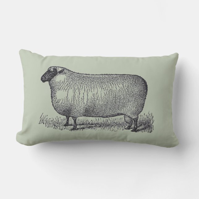 Coussin D'extérieur Illustration de mouton Style Ferme Décor Maison (Recto)