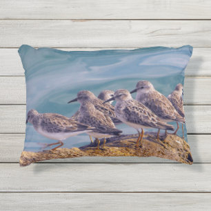 Coussin D'extérieur Jeunes Tournepierres Rouges