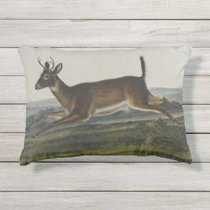 Coussin D'extérieur Longs cerfs communs coupés la queue par John James